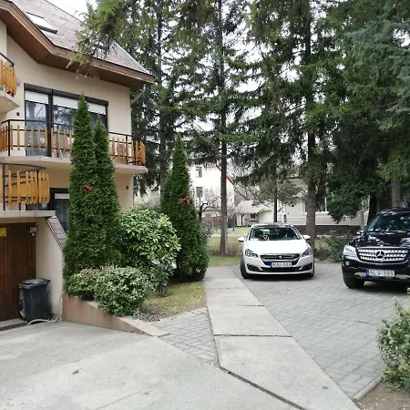 Apartment Wolf