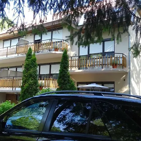 Wolf Apartment *
