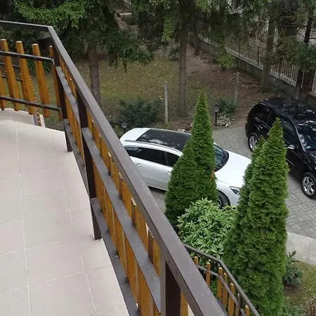 Wolf Apartment *